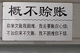 日土企业清欠服务