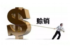 日土贷款清欠服务